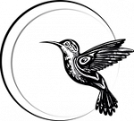 Colibri Midwifery – Delorme, Lisa